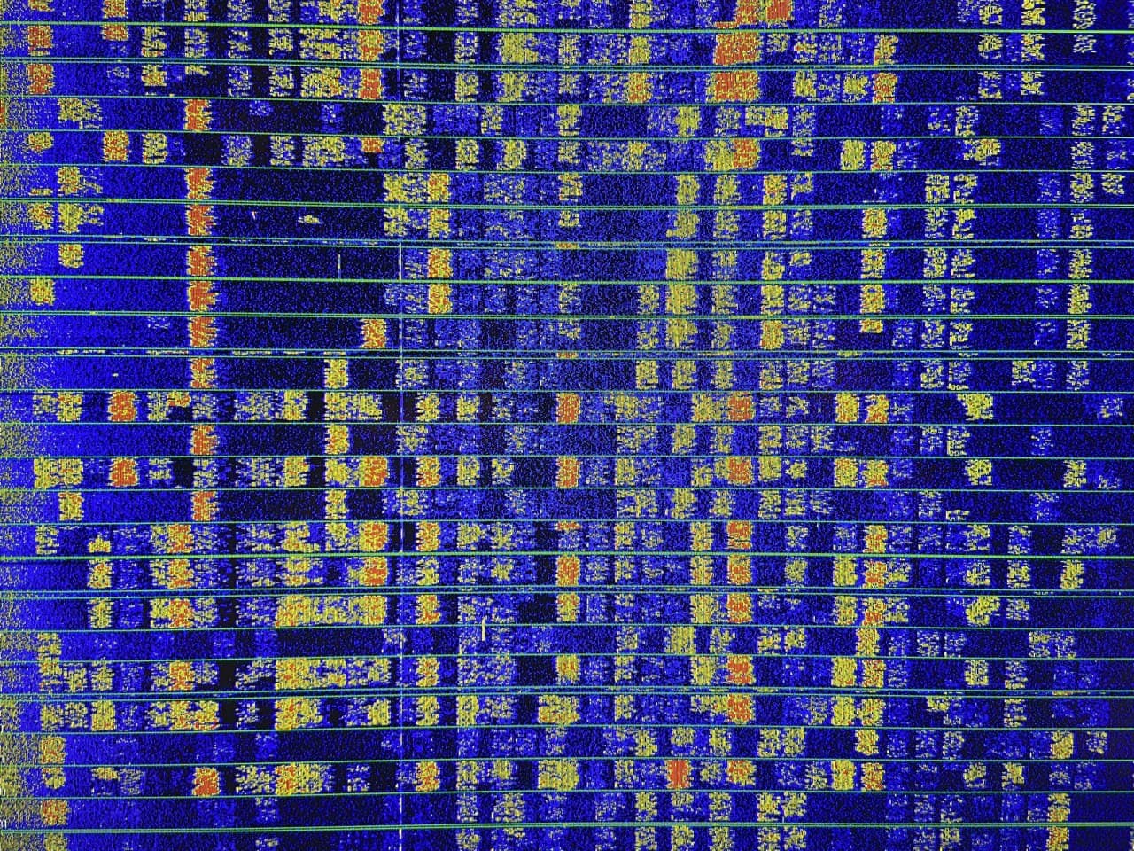 FT8